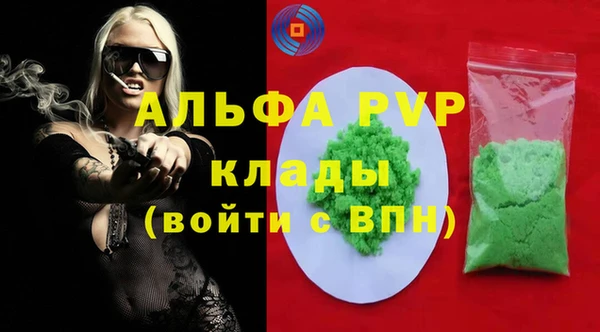 индика Ладушкин