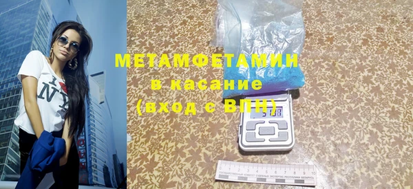 индика Ладушкин