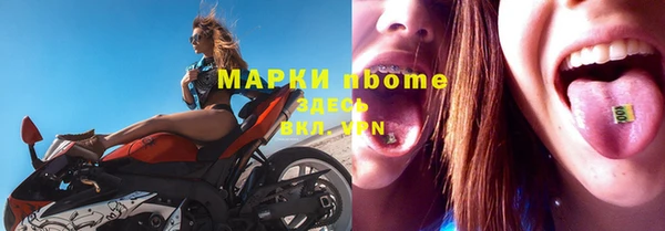 индика Ладушкин
