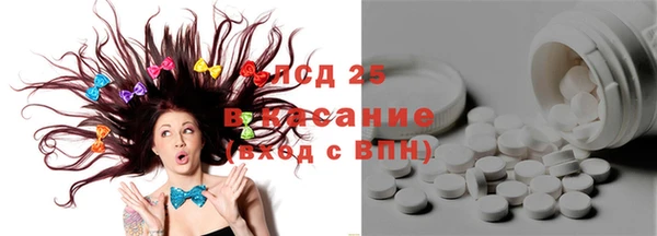 индика Ладушкин