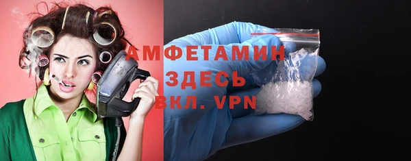 индика Ладушкин