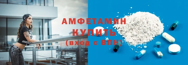 индика Ладушкин