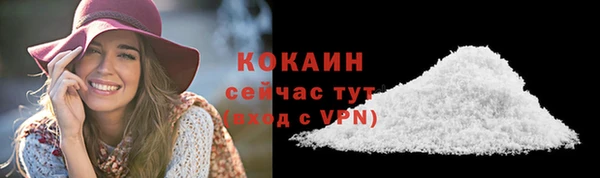 индика Ладушкин