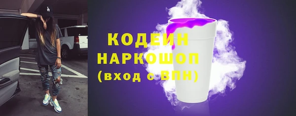 индика Ладушкин
