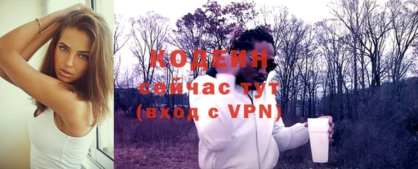 индика Ладушкин