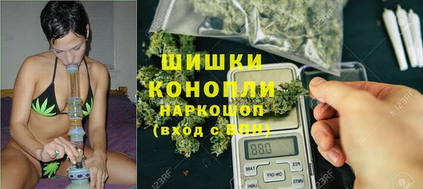 индика Ладушкин