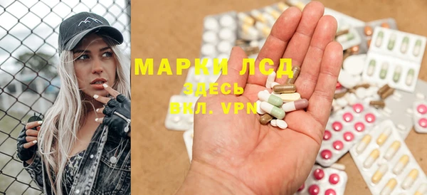 индика Ладушкин