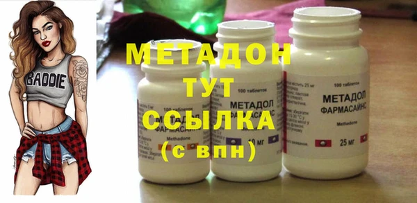 индика Ладушкин